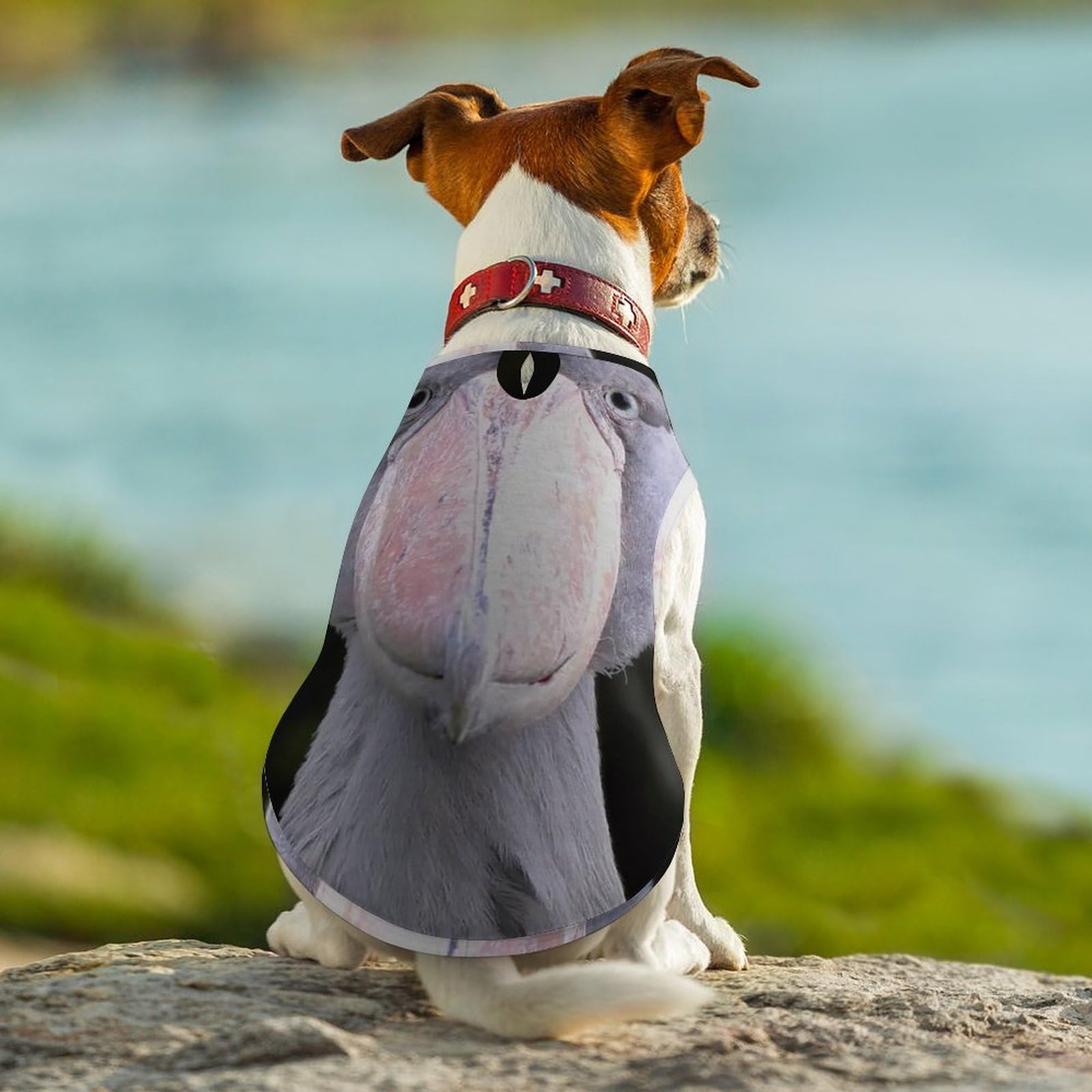 木と鳥の犬の服